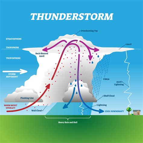 東かがわ市 雨雲レーダー: 雲の動きと人々の心の関係性