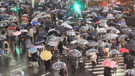 川崎市麻生区 天気 そして、なぜカラスは傘を差すのか？